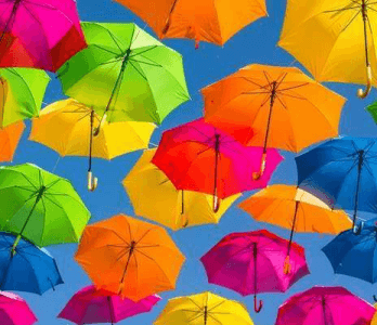 Umbrella Image